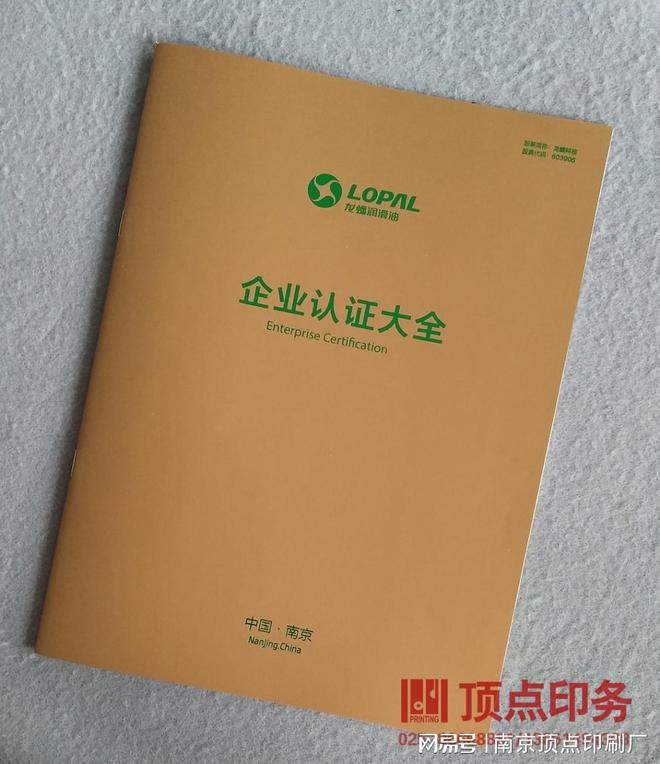 j9九游会真人游戏第一品牌南京特色产品宣传册设计-南京品牌形象样本印刷-南京窗花(图2)